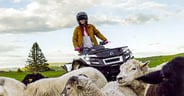Is an Electric ATV/UTV Right For You?