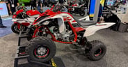 Yamaha raptor