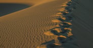 Mesquite Sand Dunes