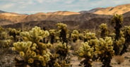 Epic Views in JTNP