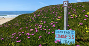 Remote California Beach