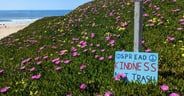 Earth Day Ethics: An RV Guide to Leave No Trace
