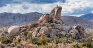 Ryan Mountain Rocks