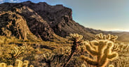 Saguaro National Park: RV Travel and Camping Guide