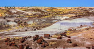 Petrified Forest National Park: RV Camping and Travel Guide