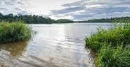 Virginia ripples and cloud