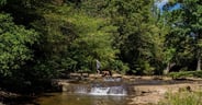 Gulpha Gorge Campground