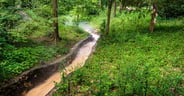 Tufa Terrace Trail