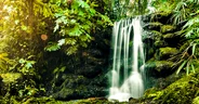 Rainbow Falls