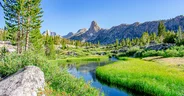 Stream through an alpine meadow, Kings Canyon National Park, Cal