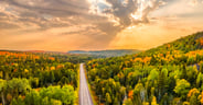 Sunset Autumn drive through the tunnel of Trees in Michigan Uppe