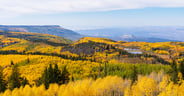 Aerial view of autumn, falls colors of Grand Mesa National Forest from overlook at Scenic Byway State Highway 65 in Colorado