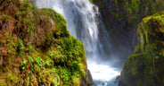 Oregon-Umpqua National Forest-Rogue-Umpqua Scenic Byway-Susan Cr