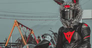 Bunny