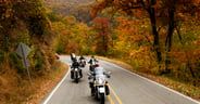 8a7b75cdce24f2eee04f122d667ae45e_Fall_Color_Pig_Trail.jpeg
