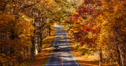 AdobeStock_126135700-scaled