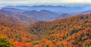 AdobeStock_197240522-scaled