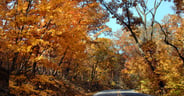 AdobeStock_27163977-scaled