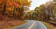 Skyline-Drive-late-Fall.jpg