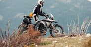 dual sport