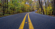 Arkansas Pig Trail