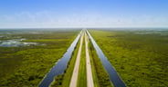 Aerial Florida Everglades Alligator Alley