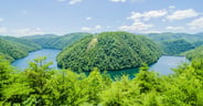Tail of the Dragon view