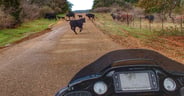 Hill Country Backroads