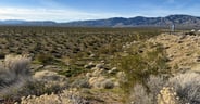 IMG_1971