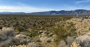 Mojave