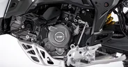 2026 Ducati DesertX 5