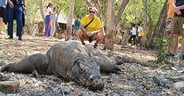 Bali2Komodo5