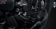 2026 Kawasaki W175 LTD_4
