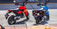 2026 Honda Grom