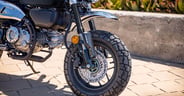 2026 Honda Monkey_1