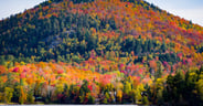 great lakes for fall color