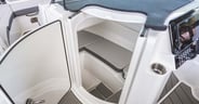 Sea Ray SDX 230 Surf
