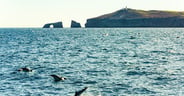 Channel Islands National Park