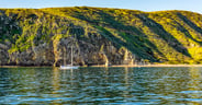 Channel Islands National Park
