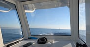 Yellowfin 36 Offshore