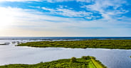 Aerial view of Lake Okeechobee surrounded by lush greenery in Fl