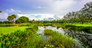 A stunning photo capturing a charming bridge arching gracefully