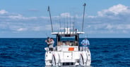 Aquila 36 Molokai