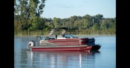 Sylvan M5 CLZ DC