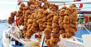 Sea-sponges-Tarpon-Springs-FL-AdobeStock_203451784-body