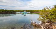 fishing the Florida shallows