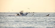 upscale year-round boating destinations