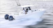 World-Cat-280cc-x-running